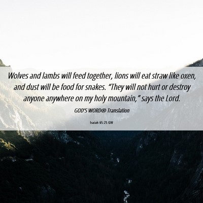 Picture 06 - Isaiah 65:25 GW - Wolves and lambs will feed together, lions will - Bible Verse Picture