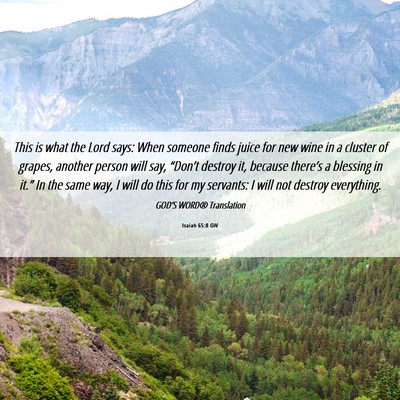 Picture 06 - Isaiah 65:8 GW - This is what the Lord says: When someone finds - Bible Verse Picture