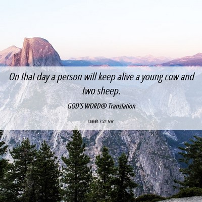 Picture 06 - Isaiah 7:21 GW - On that day a person will keep alive a young cow - Bible Verse Picture