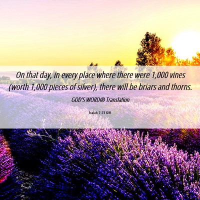 Picture 06 - Isaiah 7:23 GW - On that day, in every place where there were - Bible Verse Picture
