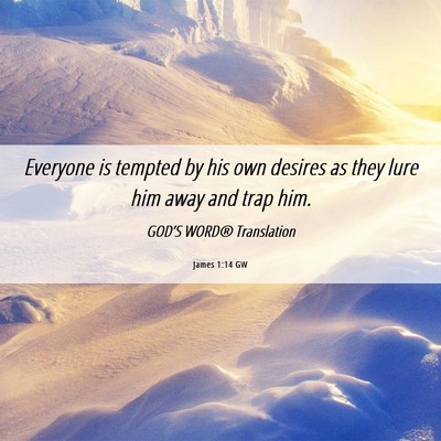 Picture 06 - James 1:14 GW - Everyone is tempted by his own desires as they - Bible Verse Picture