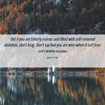 Picture 06 - James 3:14 GW - But if you are bitterly jealous and filled with - Bible Verse Picture