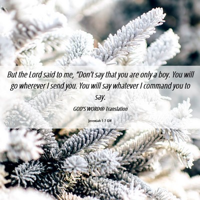 Picture 06 - Jeremiah 1:7 GW - But the Lord said to me, “Don’t say that you - Bible Verse Picture