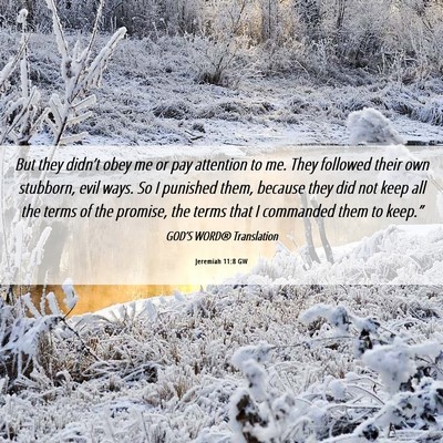Picture 06 - Jeremiah 11:8 GW - But they didn’t obey me or pay attention to me. - Bible Verse Picture