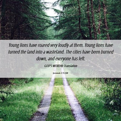 Picture 06 - Jeremiah 2:15 GW - Young lions have roared very loudly at them. - Bible Verse Picture
