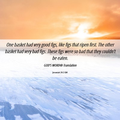 Picture 06 - Jeremiah 24:2 GW - One basket had very good figs, like figs that - Bible Verse Picture