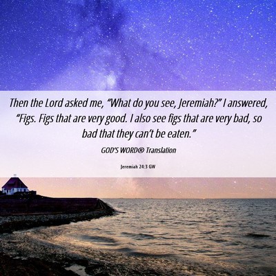 Picture 06 - Jeremiah 24:3 GW - Then the Lord asked me, “What do you see, - Bible Verse Picture