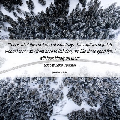 Picture 06 - Jeremiah 24:5 GW - “This is what the Lord God of Israel says: The - Bible Verse Picture