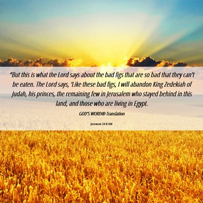 Picture 06 - Jeremiah 24:8 GW - “But this is what the Lord says about the bad - Bible Verse Picture