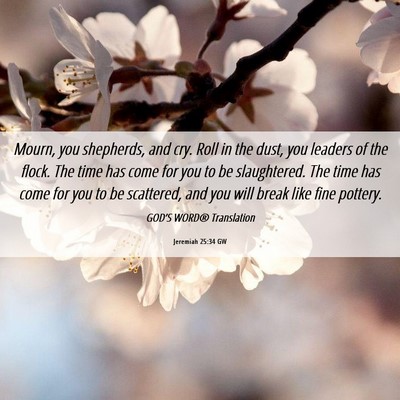 Picture 06 - Jeremiah 25:34 GW - Mourn, you shepherds, and cry. Roll in the dust, - Bible Verse Picture