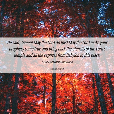 Picture 06 - Jeremiah 28:6 GW - He said, “Amen! May the Lord do this! May the - Bible Verse Picture