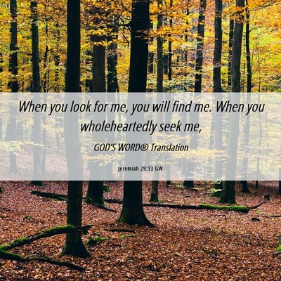 Picture 06 - Jeremiah 29:13 GW - When you look for me, you will find me. When you - Bible Verse Picture