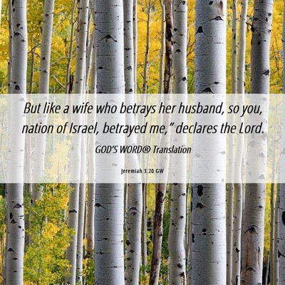 Picture 06 - Jeremiah 3:20 GW - But like a wife who betrays her husband, so you, - Bible Verse Picture