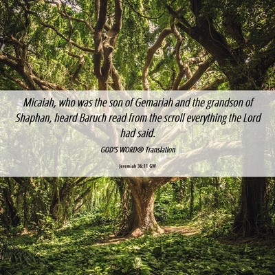 Picture 06 - Jeremiah 36:11 GW - Micaiah, who was the son of Gemariah and the - Bible Verse Picture