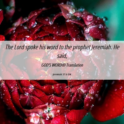 Picture 06 - Jeremiah 37:6 GW - The Lord spoke his word to the prophet Jeremiah. - Bible Verse Picture