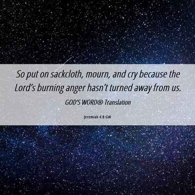 Picture 06 - Jeremiah 4:8 GW - So put on sackcloth, mourn, and cry because the - Bible Verse Picture