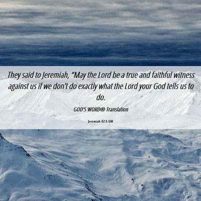 Picture 06 - Jeremiah 42:5 GW - They said to Jeremiah, “May the Lord be a true - Bible Verse Picture