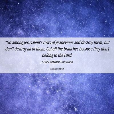 Picture 06 - Jeremiah 5:10 GW - “Go among Jerusalem’s rows of grapevines and - Bible Verse Picture