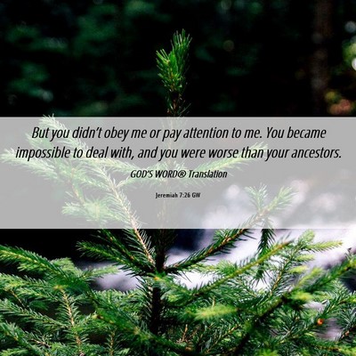 Picture 06 - Jeremiah 7:26 GW - But you didn’t obey me or pay attention to me. - Bible Verse Picture