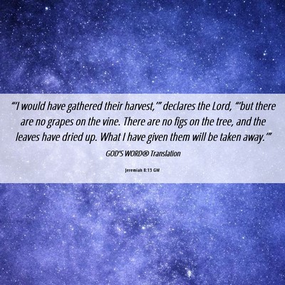 Picture 06 - Jeremiah 8:13 GW - “‘I would have gathered their harvest,’” - Bible Verse Picture