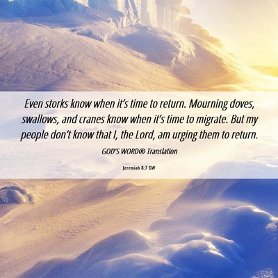 Picture 06 - Jeremiah 8:7 GW - Even storks know when it’s time to return. - Bible Verse Picture