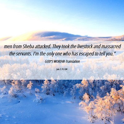 Picture 06 - Job 1:15 GW - men from Sheba attacked. They took the livestock - Bible Verse Picture