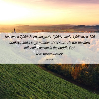 Picture 06 - Job 1:3 GW - He owned 7,000 sheep and goats, 3,000 camels, - Bible Verse Picture