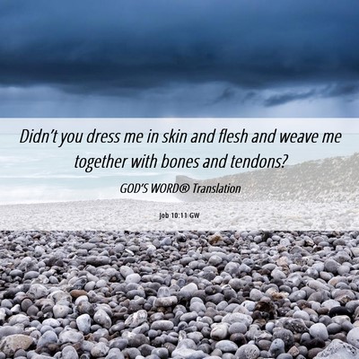 Picture 06 - Job 10:11 GW - Didn’t you dress me in skin and flesh and weave - Bible Verse Picture