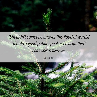 Picture 06 - Job 11:2 GW - “Shouldn’t someone answer this flood of - Bible Verse Picture