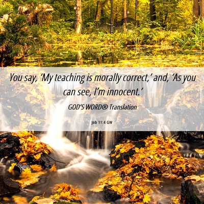 Picture 06 - Job 11:4 GW - You say, ‘My teaching is morally correct,’ - Bible Verse Picture