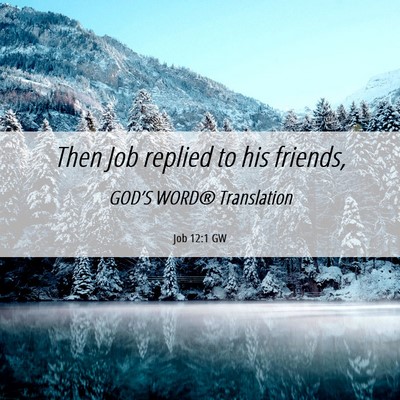 Picture 06 - Job 12:1 GW - Then Job replied to his - Bible Verse Picture