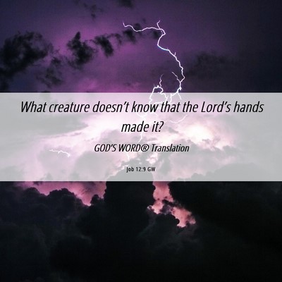 Picture 06 - Job 12:9 GW - What creature doesn’t know that the Lord’s - Bible Verse Picture