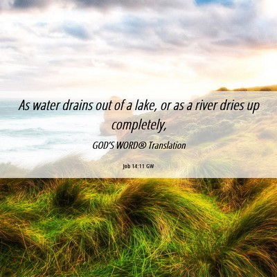 Picture 06 - Job 14:11 GW - As water drains out of a lake, or as a river - Bible Verse Picture