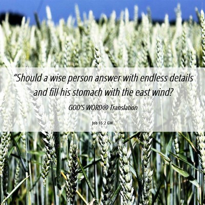 Picture 06 - Job 15:2 GW - “Should a wise person answer with endless - Bible Verse Picture