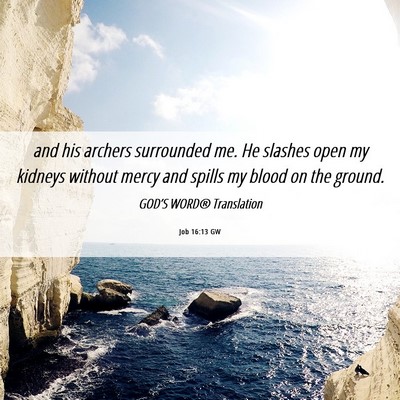Picture 06 - Job 16:13 GW - and his archers surrounded me. He slashes open my - Bible Verse Picture
