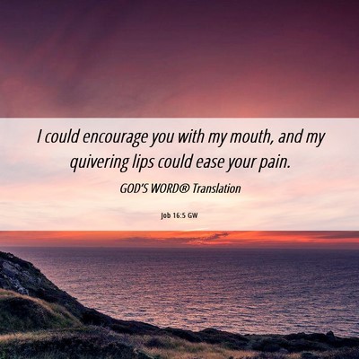 Picture 06 - Job 16:5 GW - I could encourage you with my mouth, and my - Bible Verse Picture