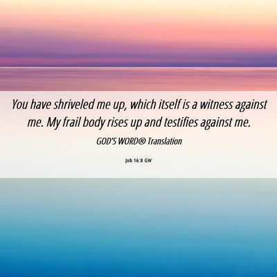 Picture 06 - Job 16:8 GW - You have shriveled me up, which itself is a - Bible Verse Picture