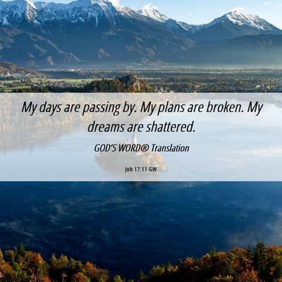 Picture 06 - Job 17:11 GW - My days are passing by. My plans are broken. My - Bible Verse Picture