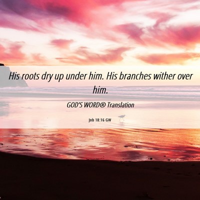 Picture 06 - Job 18:16 GW - His roots dry up under him. His branches wither - Bible Verse Picture