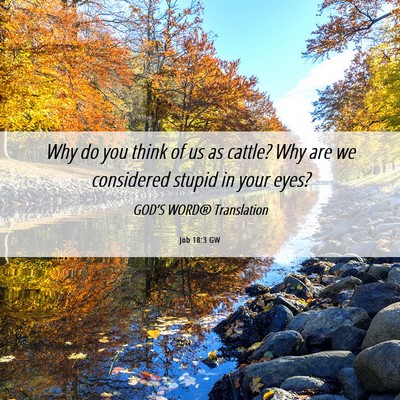 Picture 06 - Job 18:3 GW - Why do you think of us as cattle? Why are we - Bible Verse Picture