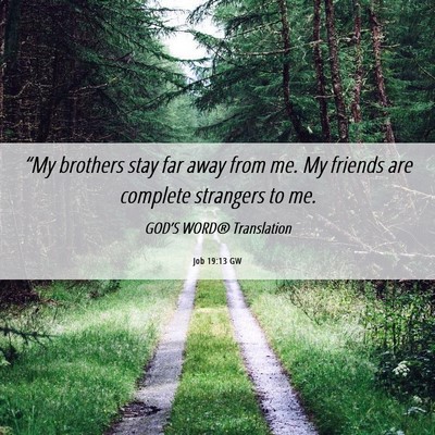 Picture 06 - Job 19:13 GW - “My brothers stay far away from me. My friends - Bible Verse Picture