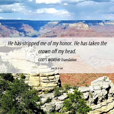 Picture 06 - Job 19:9 GW - He has stripped me of my honor. He has taken the - Bible Verse Picture