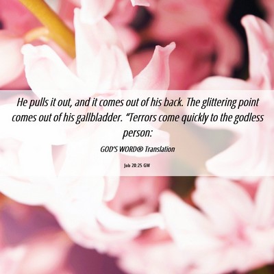 Picture 06 - Job 20:25 GW - He pulls it out, and it comes out of his back. - Bible Verse Picture