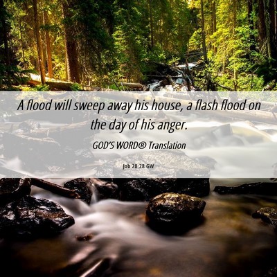 Picture 06 - Job 20:28 GW - A flood will sweep away his house, a flash flood - Bible Verse Picture
