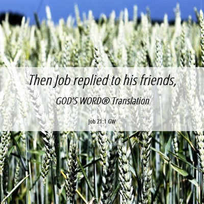 Picture 06 - Job 21:1 GW - Then Job replied to his - Bible Verse Picture