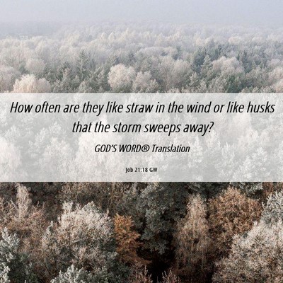 Picture 06 - Job 21:18 GW - How often are they like straw in the wind or like - Bible Verse Picture