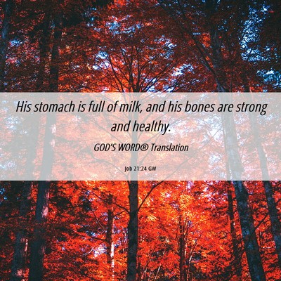 Picture 06 - Job 21:24 GW - His stomach is full of milk, and his bones are - Bible Verse Picture