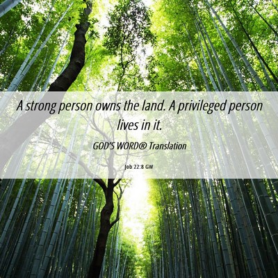Picture 06 - Job 22:8 GW - A strong person owns the land. A privileged - Bible Verse Picture