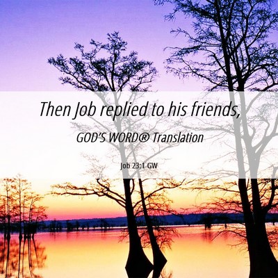 Picture 06 - Job 23:1 GW - Then Job replied to his - Bible Verse Picture