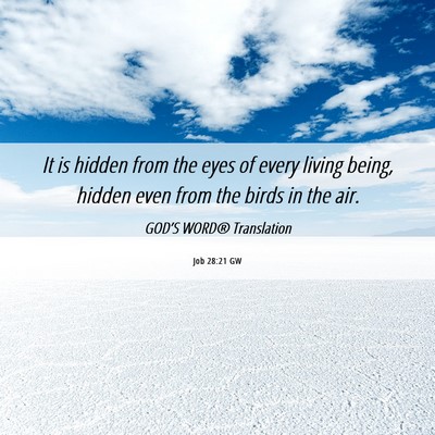 Picture 06 - Job 28:21 GW - It is hidden from the eyes of every living being, - Bible Verse Picture